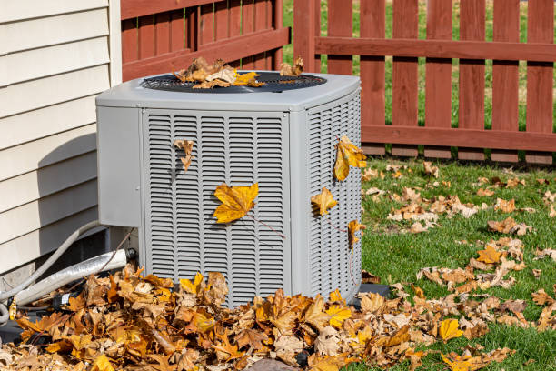 Best HVAC Maintenance Near Me  in Greenwood, MS